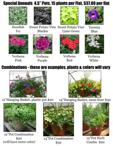 3 special annuals and combos